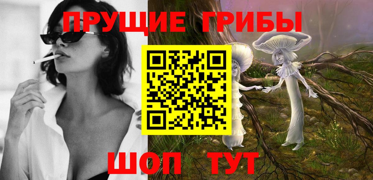 Псилоцибиновые грибы Cubensis  Псилоцибиновые грибы мухоморы  Вход с VPN  Холмск 
